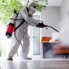 Pest Control Services